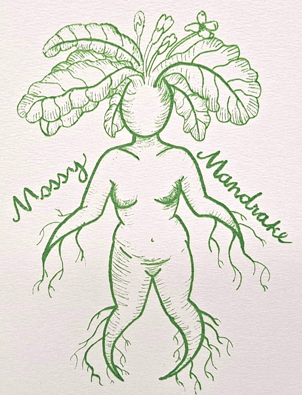 Mossy Mandrake (in Green), silkscreen print on watercolor paper